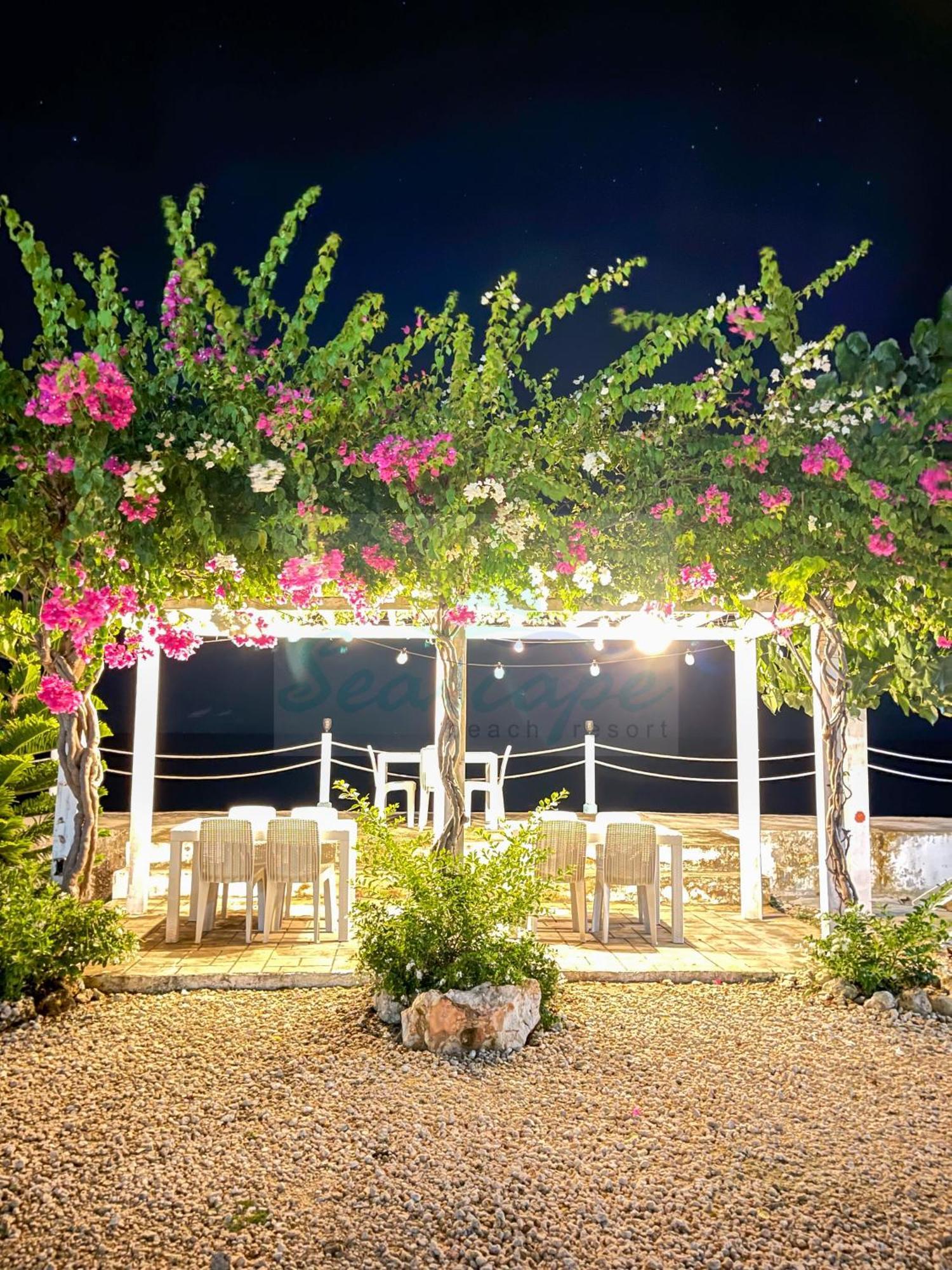 Seascape Beach Resort Oslob Luaran gambar